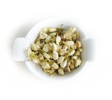 Flor de Jasmine Jasmine Flower